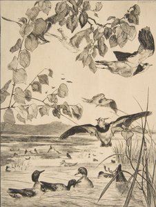 Abibe e Sarcelles, 1862. de Felix Bracquemond