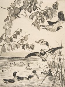 Abibe e Sarcelles, 1862. de Felix Bracquemond