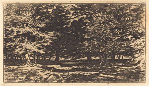Floresta. de Felix Hilaire Buhot