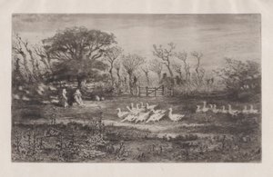 Gansos, 1860-98. de Felix Hilaire Buhot