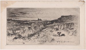 Floresta. de Felix Hilaire Buhot