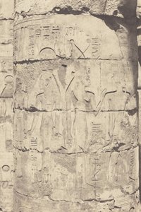 Karnak (Tebas), Palácio--Salão dos hipostilos--Colunata central--Decoração de um Fut,1853 (foto) de Félix Teynard