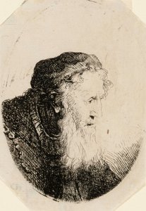 Homem idoso com barba esvoaçante de Ferdinand Bol