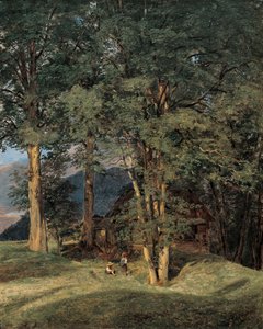 Áceres perto de Ischl de Ferdinand Georg Waldmuller
