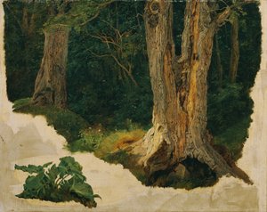 Estudo das árvores de Ferdinand Georg Waldmuller