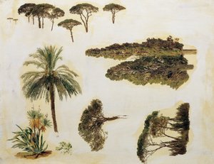 Estudos de árvores de Roma de Ferdinand Georg Waldmuller
