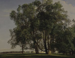 Paisagem de Prater, 1830 de Ferdinand Georg Waldmuller