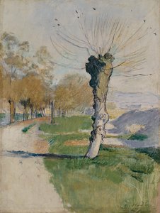 Willow Tree at the Junction, ou Willow Tree in Spring, c.1885 (óleo sobre tela) de Ferdinand Hodler