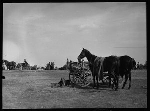 Cavalo ao lado da carroça em Semere de Ferdinand Schmutzer