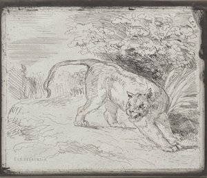 Um tigre preso, 1854. de Ferdinand Victor Eugene Delacroix