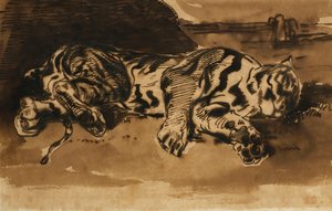 Tigre deitado; Camada de tigre, 1858 de Ferdinand Victor Eugene Delacroix
