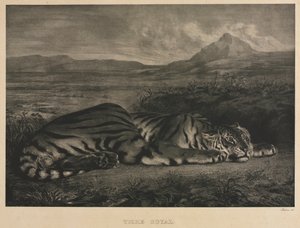 Royal Tiger, 1829. de Ferdinand Victor Eugene Delacroix