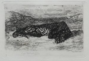 Tigre deitado no deserto. de Ferdinand Victor Eugene Delacroix