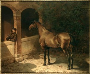 Cavalo e fumante