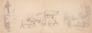 Vários esboços de vacas e touros