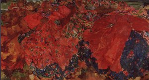 O turbilhão, 1906