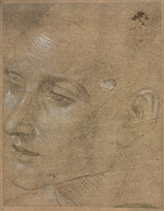 Cabeça de um jovem, segundo semestre 1400. de Filippino Lippi