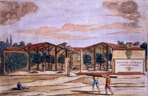 Um Pomar Coberto, de &39;Hespérides&39; de Giovanni Battista Ferrari, gravado por Camillo Congio (fl.1630), publicado em 1646
