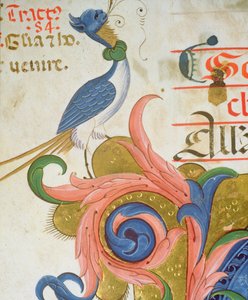 Missal 515 f.28v Pássaro fantástico com cabeça humana em pé na esquina de um detalhe inicial historiated de um livro de coro executado antes de 1449 detalhe de pergaminho de 56724