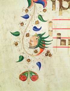 Missal 515 f.72v Borda foliáceo zoomórfica, detalhe de um livro de coro executado antes de 1449 velino