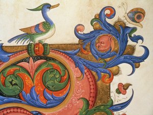 Missal 515 f.92v Folhagem zoomórfica com pássaro e borboleta em forma de pato, detalhe de decoração em torno de uma inicial historiada de um Livro de Coro executado antes de 1449 velino