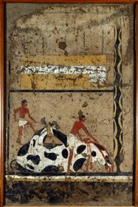 Antiquite egípcia: um touro é sacrificado diante de um sarcófago. Detrempe em barro e palha do túmulo do General e Chanceler do Rei Iti em El Ghebelen, perto de Luxor. 2200-2000 AC. Turim, museu egípcio