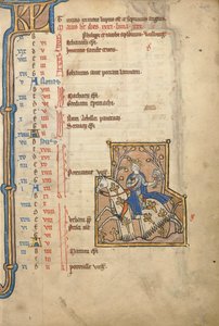 MS 14 f.5, maio: Hawking, c.1250 de Flemish School
