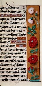 Sra. 1058-1975, f.120r: detalhe de uma margem floral de um Livro de Horas, c.1500 (vellum) de Flemish School
