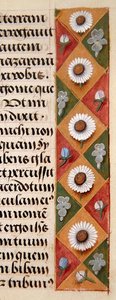 Sra. 1058-1975, f.16r: detalhe de uma borda floral de um Livro de Horas, c.1500 (vellum) de Flemish School