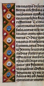 Sra. 1058-1975, f.16r: detalhe de uma borda floral de um Livro de Horas, c.1500 (vellum) de Flemish School