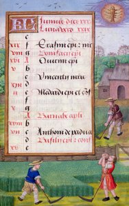 Ms 1058-1975 f6r Mowing Grass, página de calendário iluminada para Junho, de um Livro de Horas, c.1500 (vellum) de Flemish School