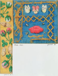 Ms 134 Carta iluminada `A e borda lateral de flores, de um livro de horas, c.1500 de Flemish School