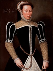 Retrato de uma mulher, 1556 de Flemish School