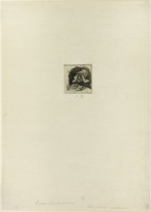 Jardineiro flamengo de Félicien Rops