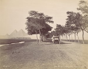 Cairo. Beco das Pirâmides, c. 1870. de Félix Bonfils