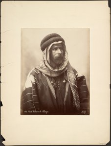 Xeque beduíno de Palmira de Félix Bonfils