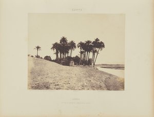 Luxor. Tâmaras e Jardim da Expedição de Luxor de Félix Teynard