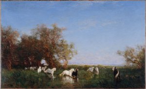 Cavalos selvagens na Camargue, entre 1890 e 1895 (óleo sobre tela) de Félix Ziem