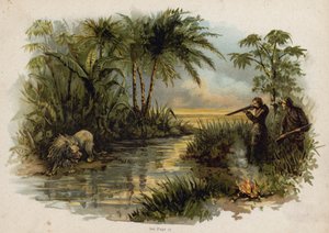 Cena de The Swiss Family Robinson: hunting the lion (chromolitho) de Florence Maplestone