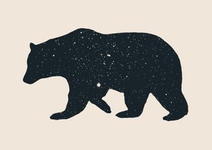 Urso de Florent Bodart