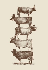 Nozes de Vaca de Florent Bodart