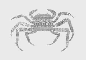Caranguejo de Florent Bodart