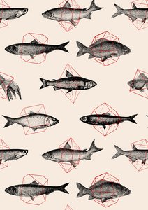 Peixes em Geometria
