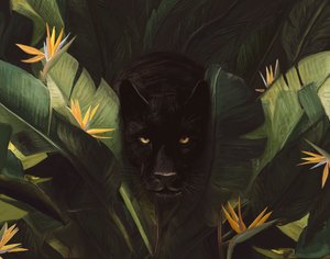 Olá Pantera, 2020 (digital) de Florent Bodart