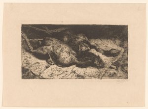 Geplukte hanen (título original) de Floris Verster (signed by artist)