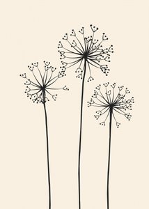 Flores de dente-de-leão minimalistas de Flow Line