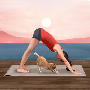 Yoga do Gato ao Nascer do Sol