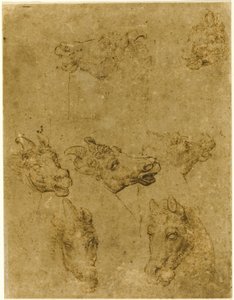 Cabeças de cavalos e unicórnios de Follower of Leonardo da Vinci
