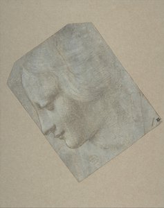 A cabeça de uma mulher de perfil voltado para a esquerda, 1490-1500. de Follower of Leonardo da Vinci.