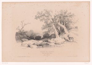 Paisagem rochosa com água e dois veados Curso de desenho com estudos de paisagens, animais e detalhes (título da série) Curso o projeto. Paysages, figures, animaux, acessórios, par Férogio (título da série no objeto)